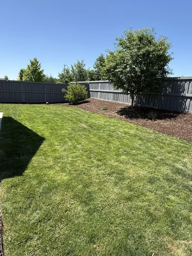 Backyard Mulch Bed & Dark Fenceline