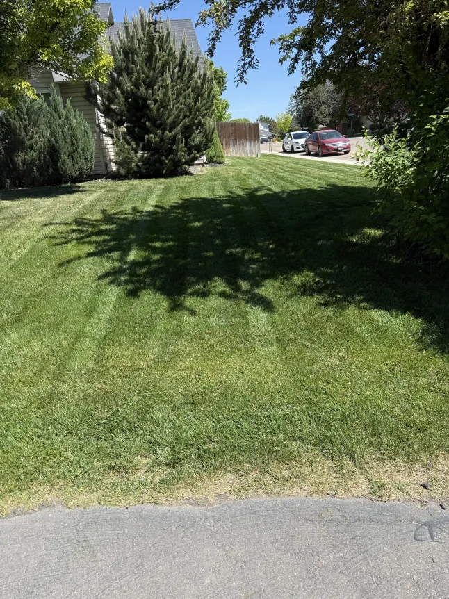 Freshly Mowed Front Lawn