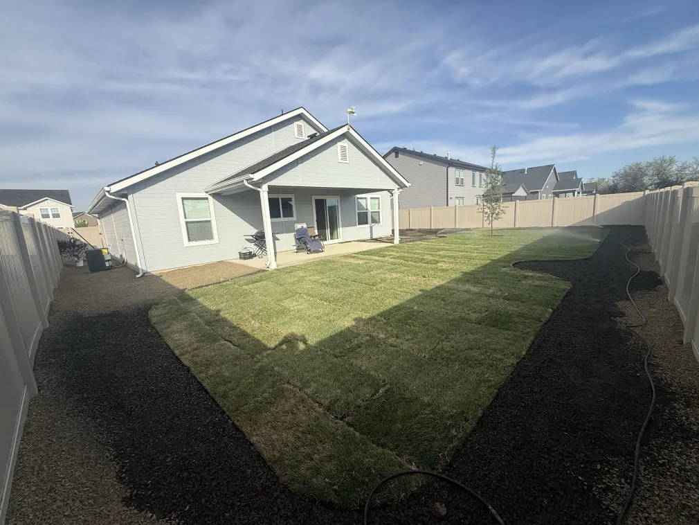 New Sod Backyard with Sprinklers Running