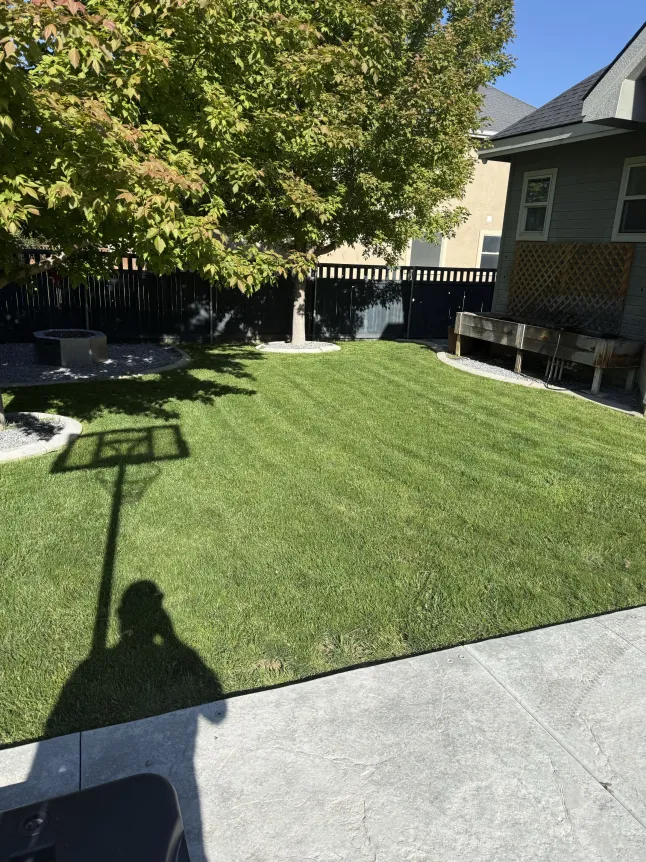 Backyard Maple with Curbed Planters
