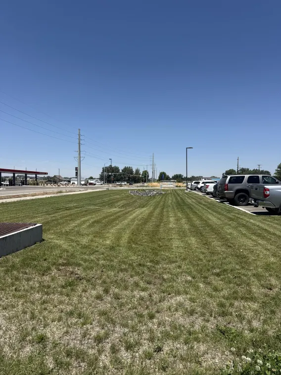 Commercial Roadside Lawn Maintenance