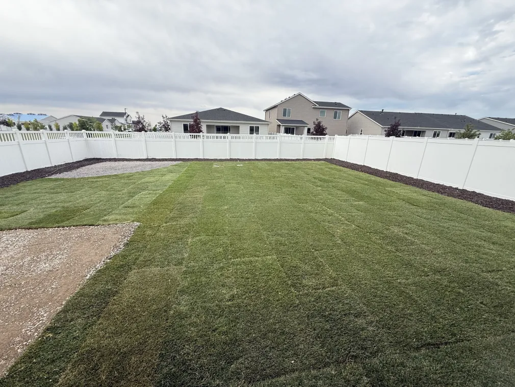 Fresh Sod Backyard Install