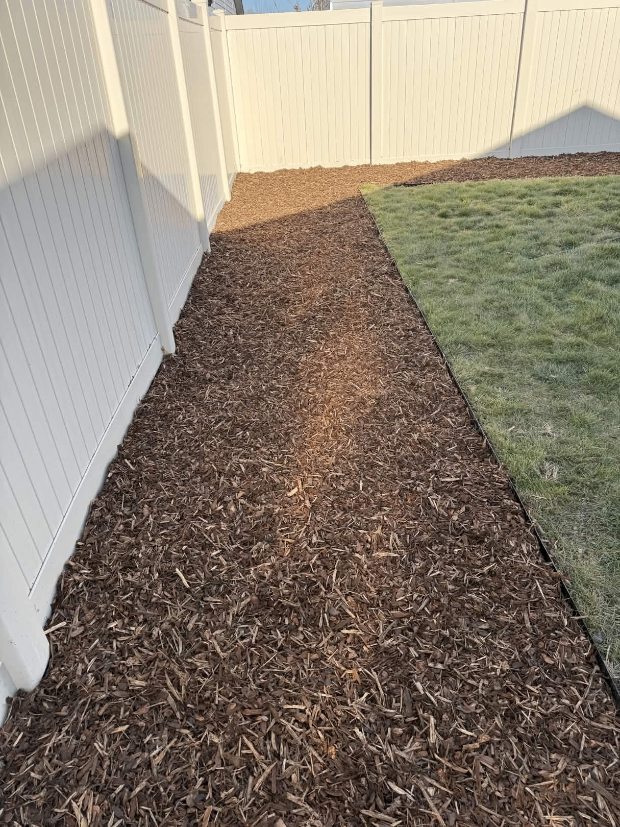 Holiday & Forever Lights