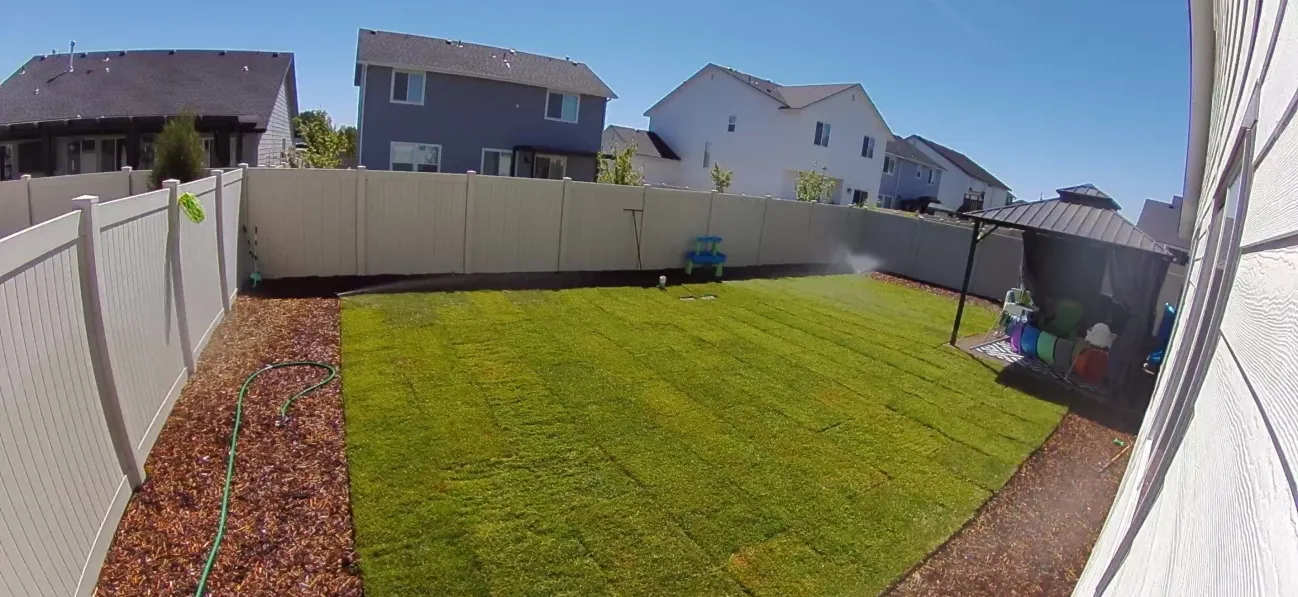 New Sod with Sprinklers Running